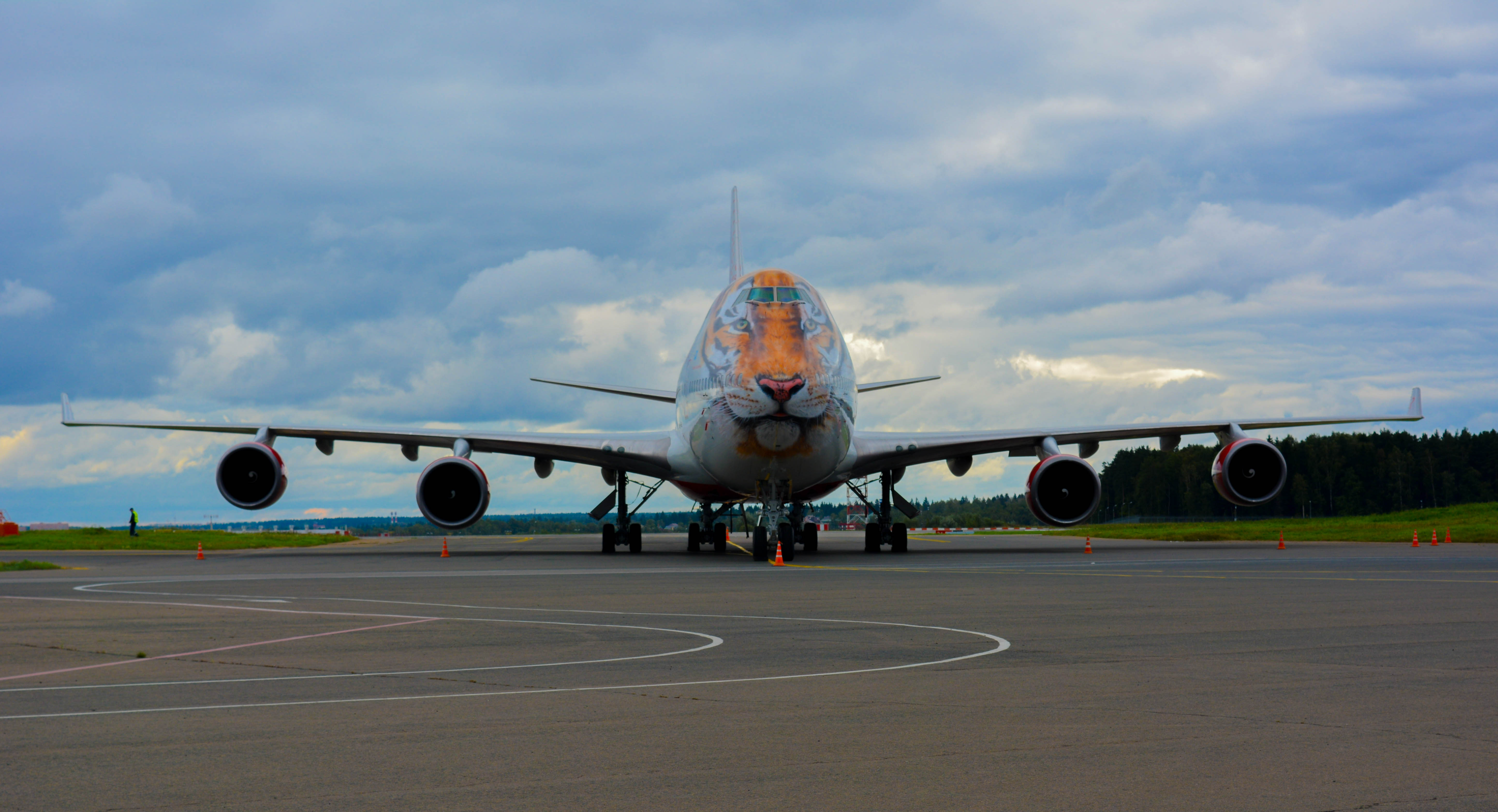 Во Внуково-3 в рамках выставки JetExpo-2016 авиакомпания «Россия» представила самолет Boeing 747-400 в тигриной ливрее | Международный аэропорт Внуково