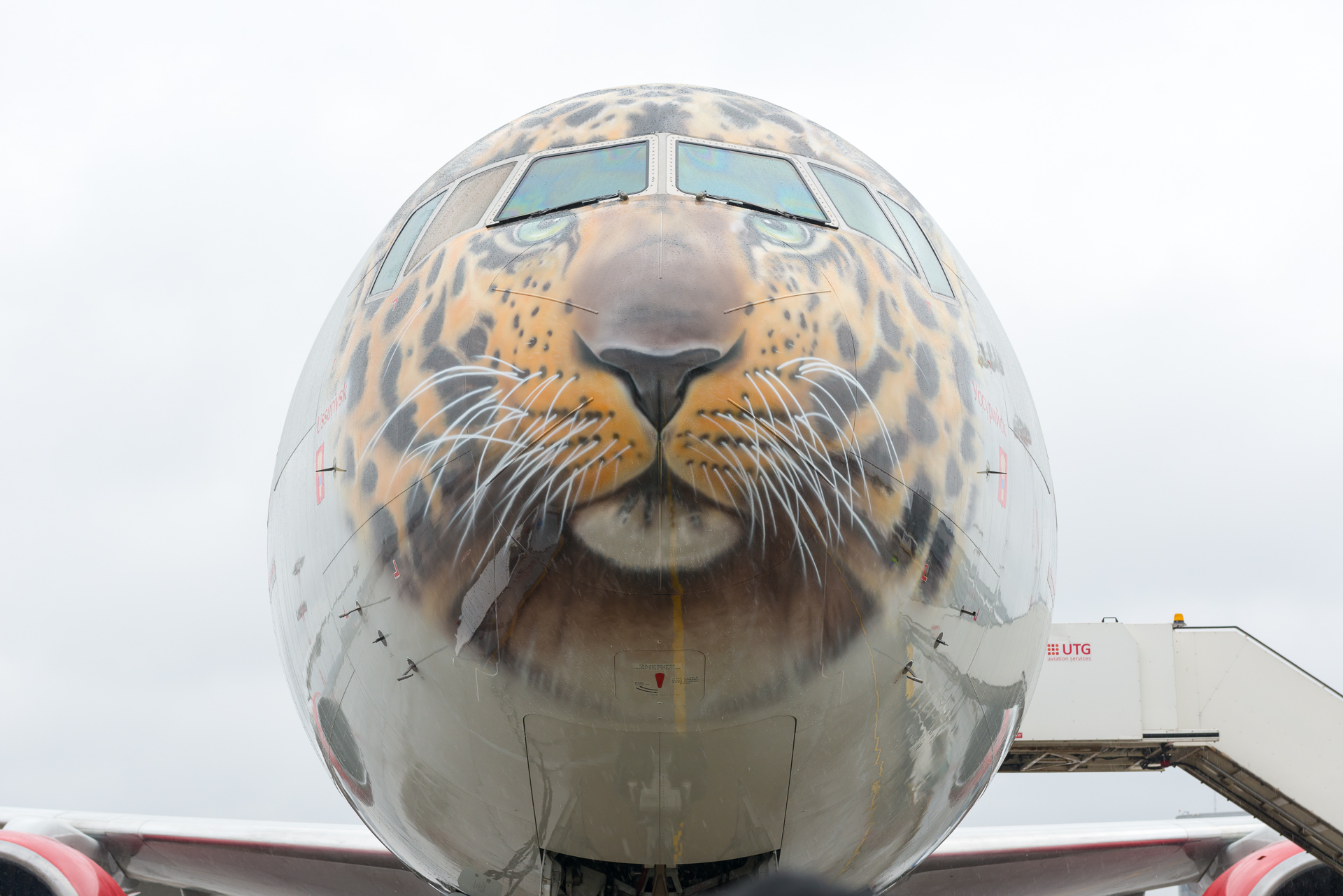 В аэропорту Внуково авиакомпания «Россия» представила воздушное судно Boeing 777-300 (Уссурийск) в леопардовой раскраске | Международный аэропорт Внуково