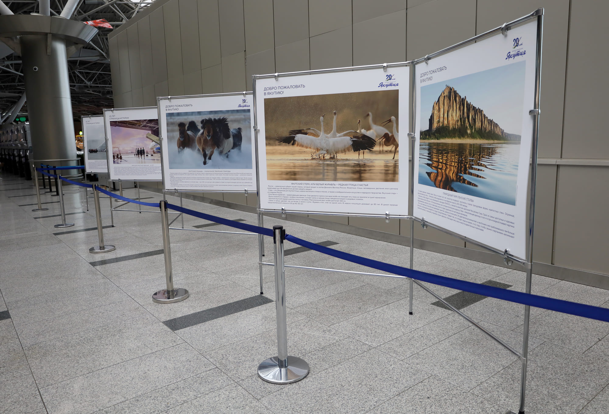 В аэропорту Внуково открылась фотовыставка «Северное сияние над всей Россией. Авиакомпания «Якутия» – 20 лет»