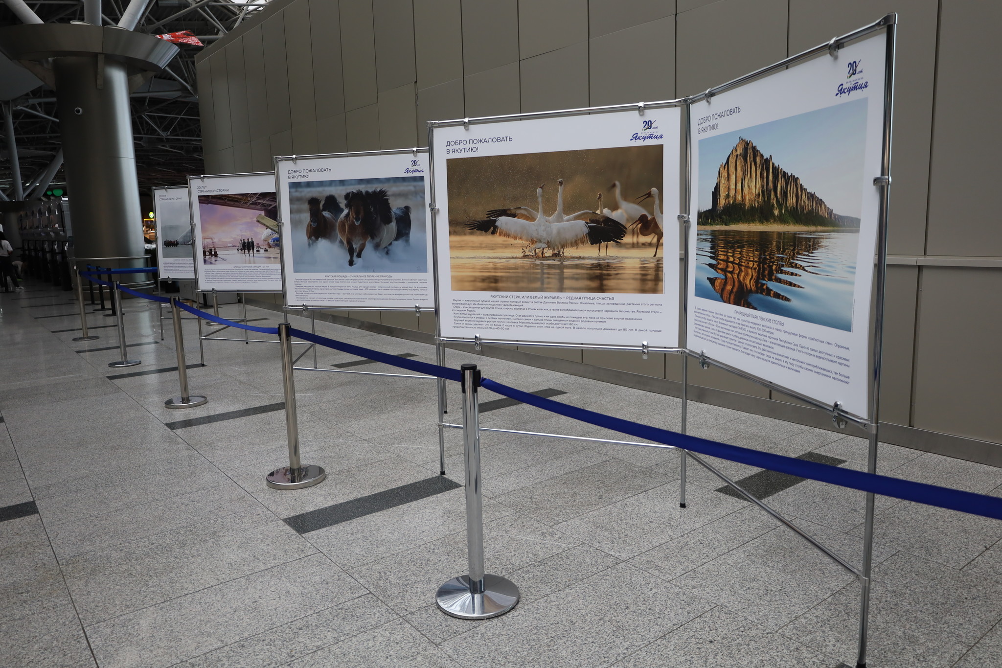 Vnukovo Airport Hosts Exhibition Entitled "Northern Lights Across Russia. 20 Years of Yakutia Airlines"