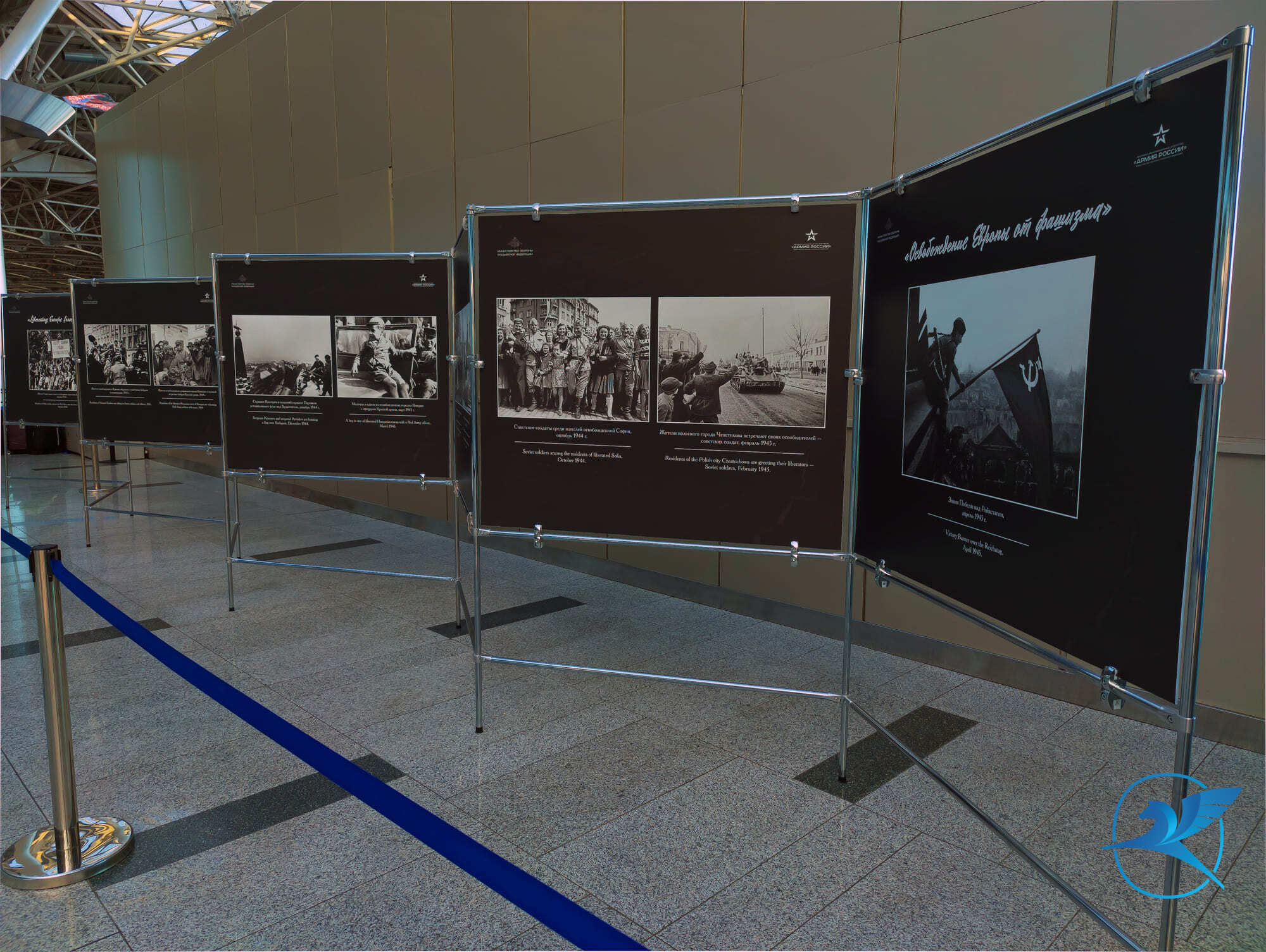 В аэропорту Внуково открылась историческая фотовыставка «Освобождение Европы от фашизма» | Международный аэропорт Внуково