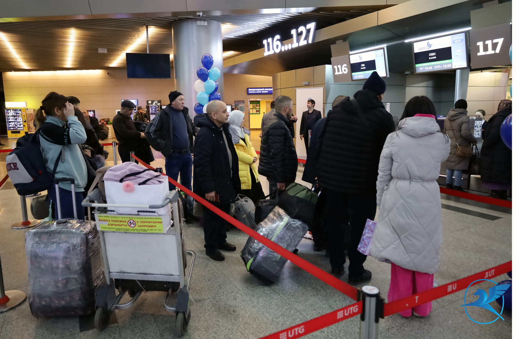 Авиакомпания Aero Nomad Airlines выполнила первый регулярный рейс на новом направлении из аэропорта Внуково | Международный аэропорт Внуково